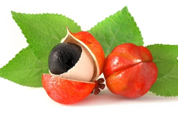 Guarana Nedir? Guarana Faydaları Nelerdir?