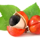 Guarana Nedir? Guarana Faydaları Nelerdir?