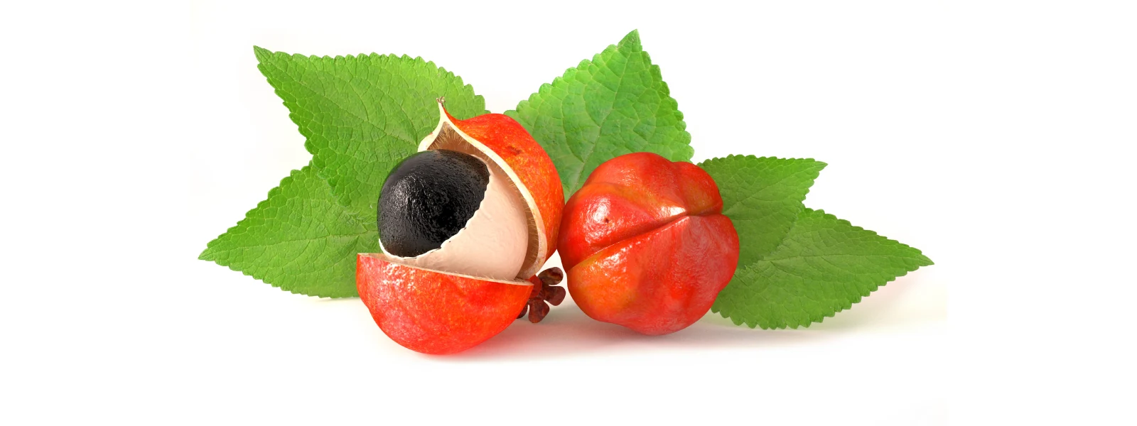 Guarana Nedir? Guarana Faydaları Nelerdir?