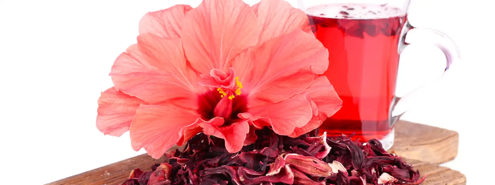 hibiskus faydaları