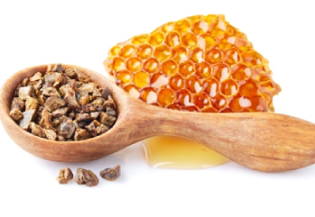 Propolis Nedir, Faydaları Nelerdir?