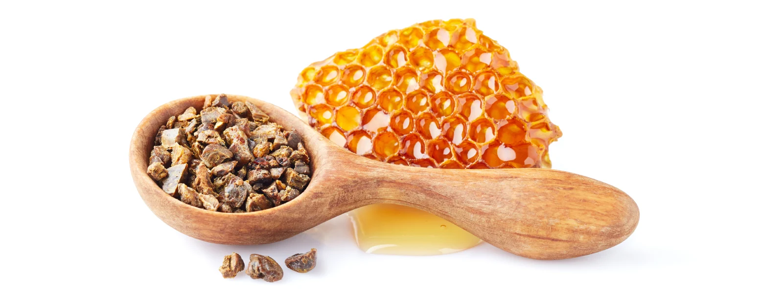 Propolis Nedir? Propolisin Faydaları Nelerdir?