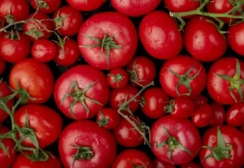 Domatesin Faydaları Nelerdir