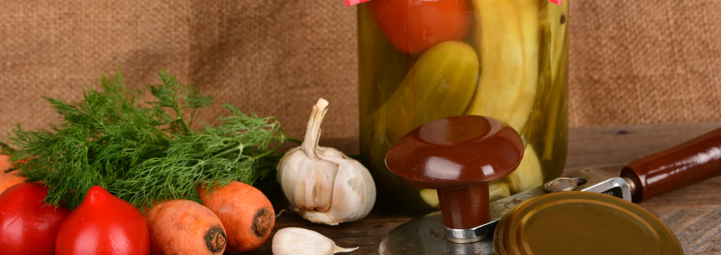 fermente gıdalar nedir