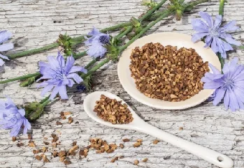 İnülin Nedir? İnülin Ne İşe Yarar?