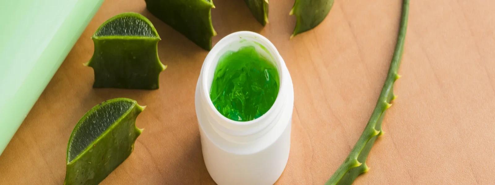 Aloe Veranın Cilde Faydaları