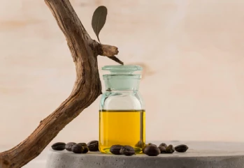 Jojoba Yağının Cilde Faydaları Nelerdir?