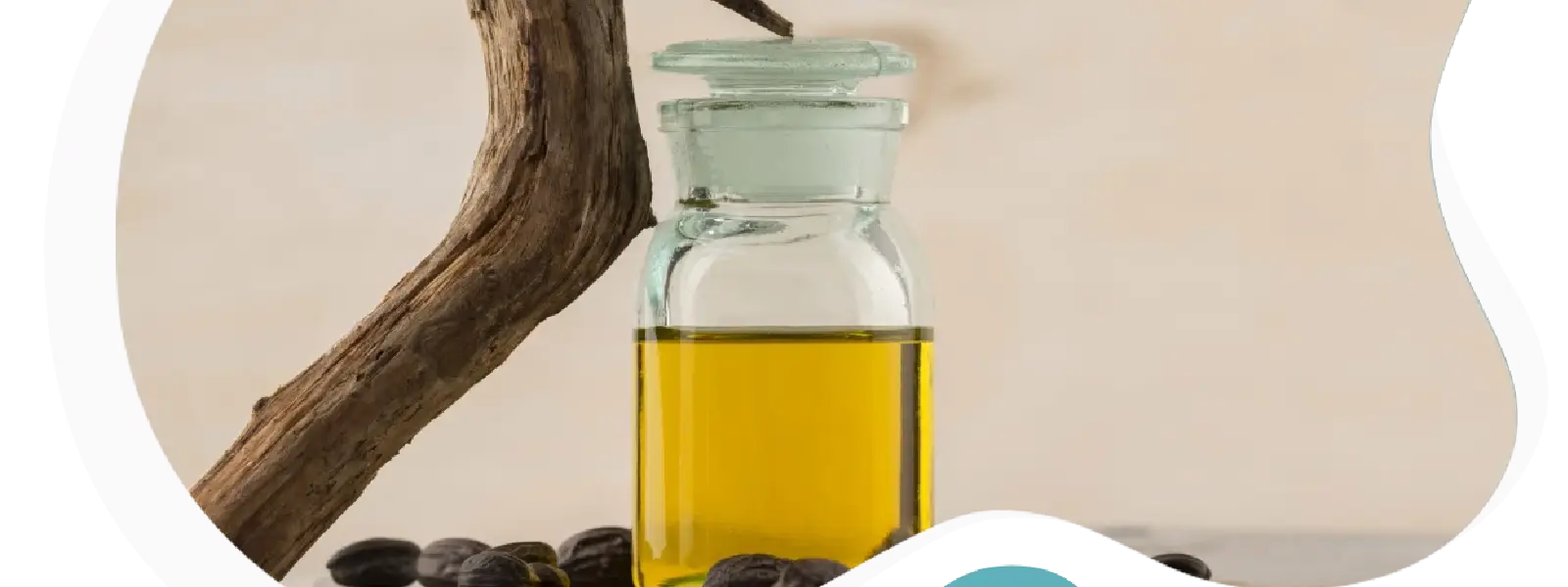 Jojoba Yağının Cilde Faydaları Nelerdir?
