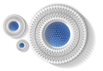 Lipozomal Teknoloji Nedir?