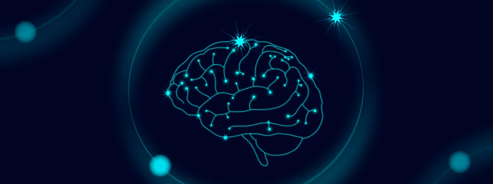 Stres ve Bağırsak - Beyin İlişkisi