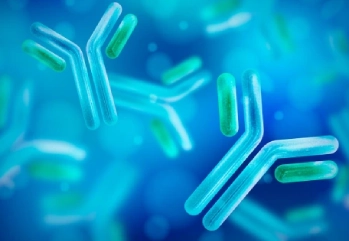 Bifidobacterium Bifidum Nedir? Bifido Bakterisi Faydaları