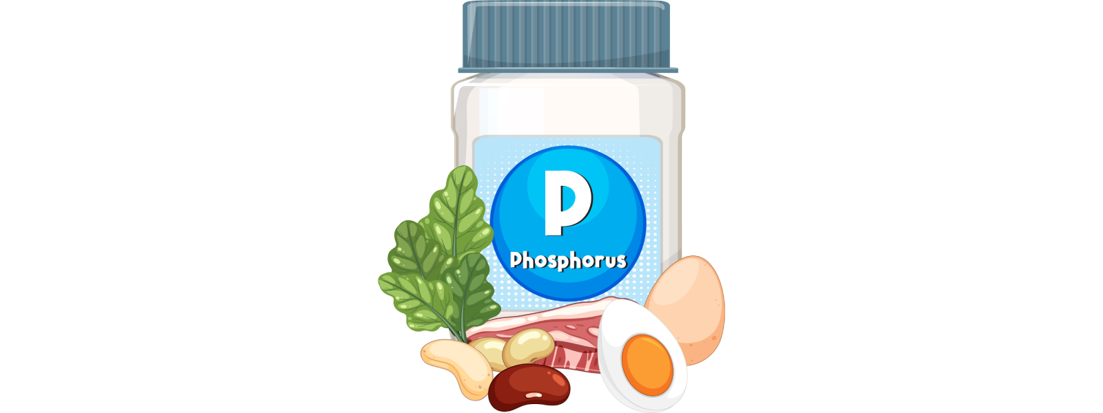 Fosfor Nedir? Fosfor Faydaları Nelerdir? 