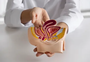Mukoza Nedir? Mukoza Yolu Nerededir?